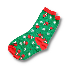 Christmas Robin Socks